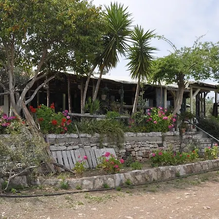 Peter's Village