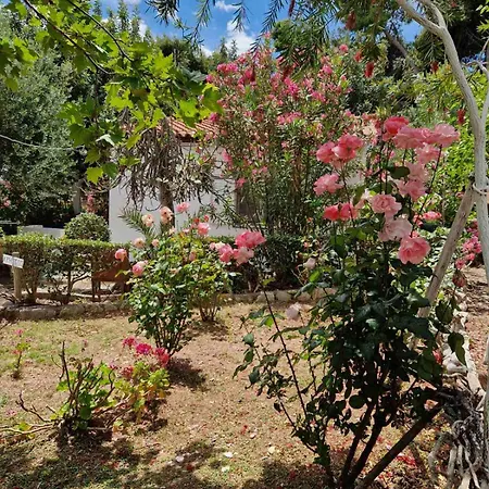 Semesterbostad Peter's Village Kalamaki (Messinia)